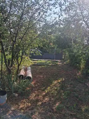 Vânzare, casă, 100 m², teren 37 ari, Ungheni