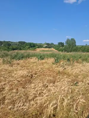 Vânzare, casă, 100 m², teren 37 ari, Ungheni