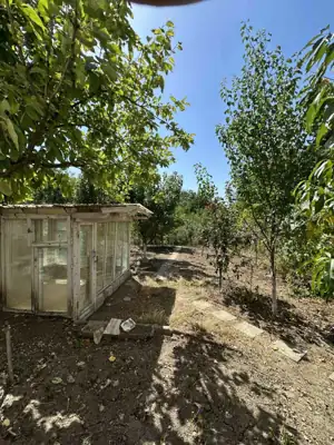 Vânzare, casă, 120 m², teren 9 ari, Ungheni