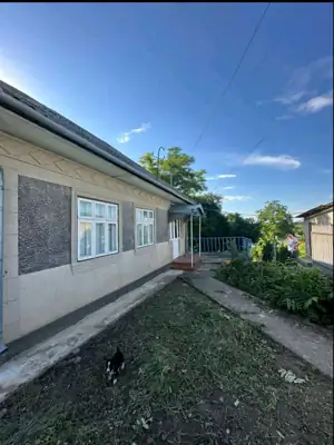 Vânzare, casă, 90 m², teren 6 ari, Ungheni